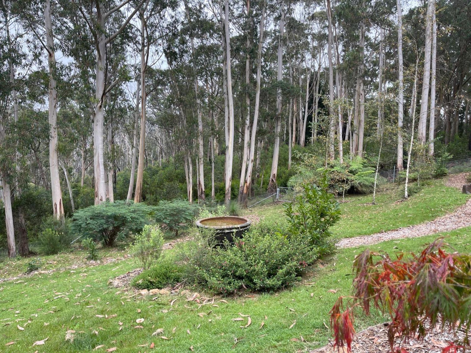 Tree Tops Mount Wilson Exterior photo